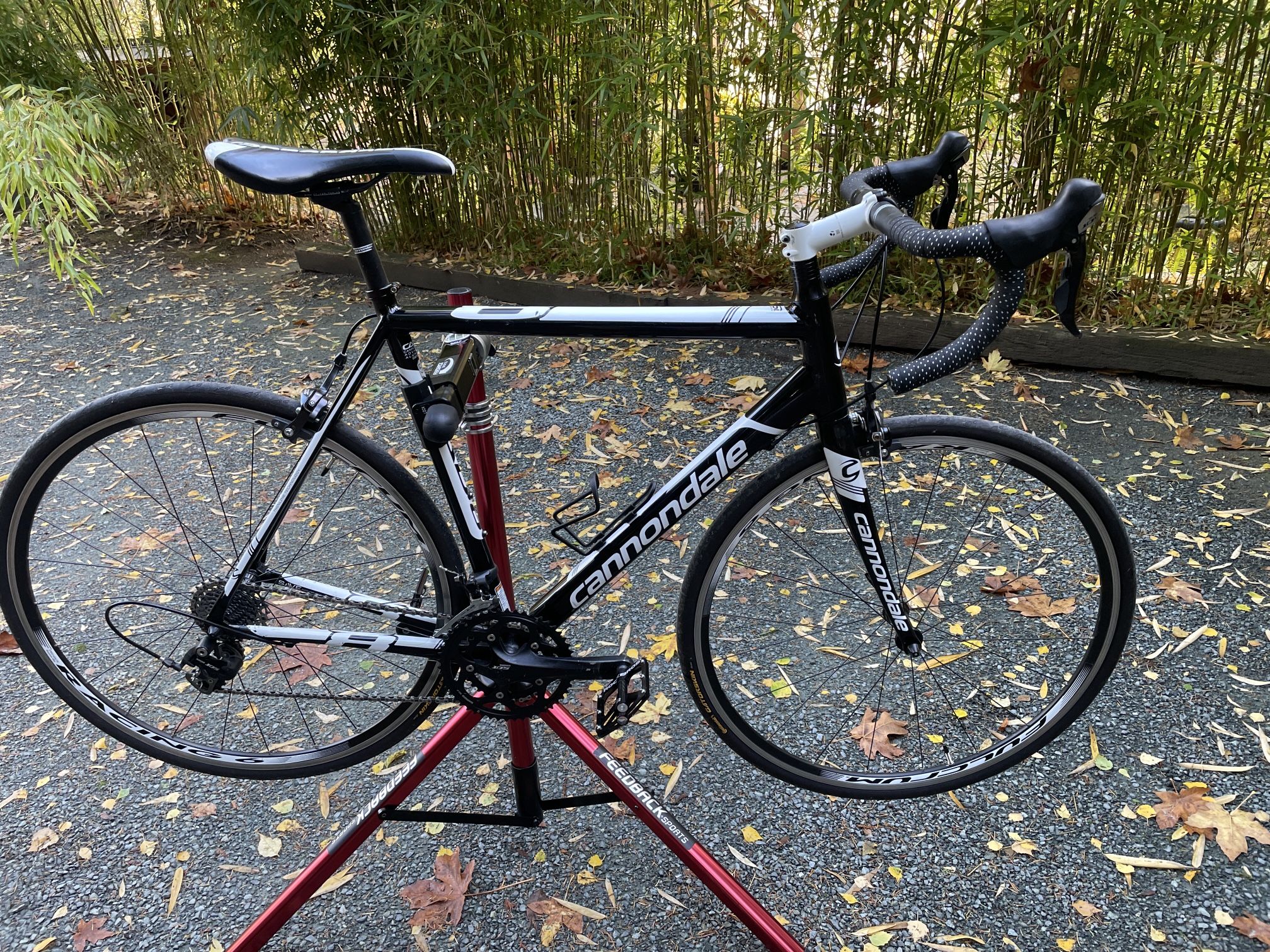 Cannondale CAAD 8 105