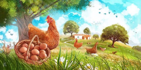 Gall inas a la venta