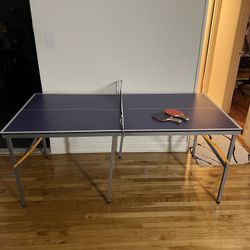 Ping Pong (Table Tennis) Table