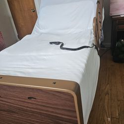 Adjustable Bed With Railings