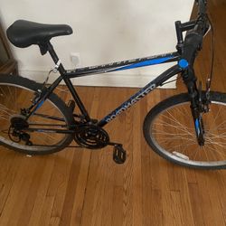 RoadMaster Granite Peak Bike 