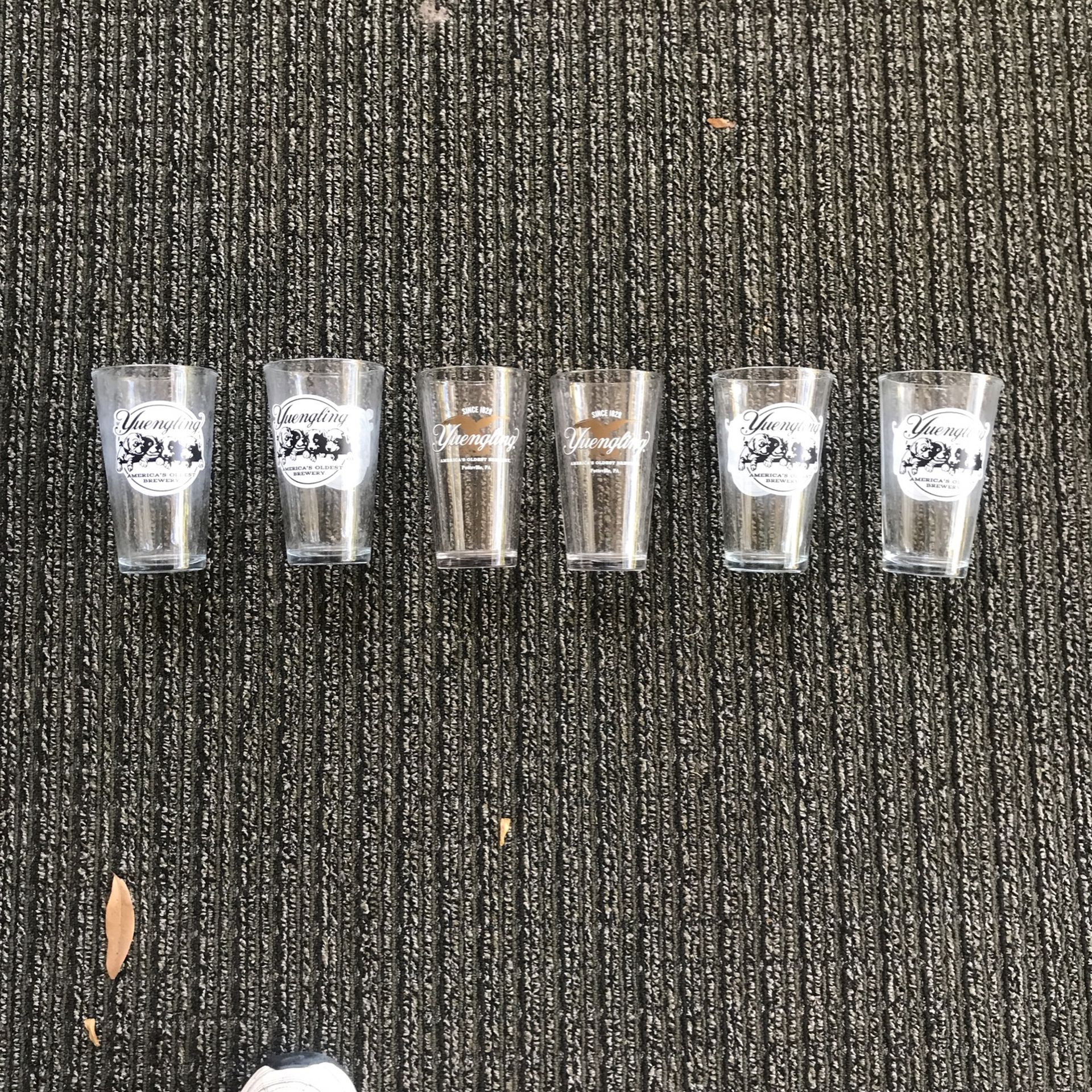 Yuengling Glasses