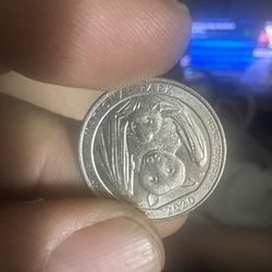 2020 D Quarter