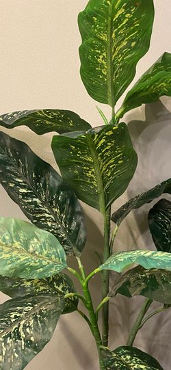 Artificial 36” Plant In The White or Black  Planter