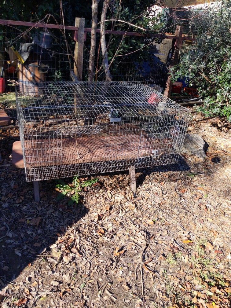 Big Pet's cage.