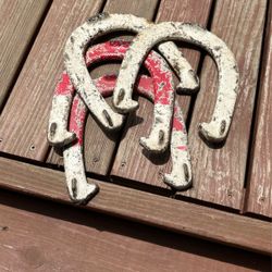 Horse Shoes Metal