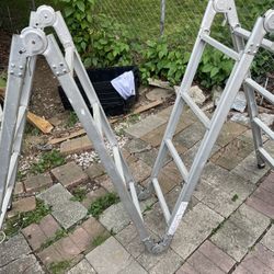 15.5 ft. Reach 225lb. Aluminium  Ladder Desperately need money, My Loss is Your Gain!!!