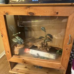 Reptile Home 