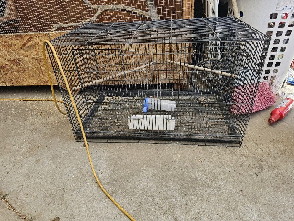 Bird Cage