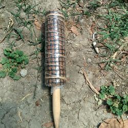 Plant Stick With Moss 