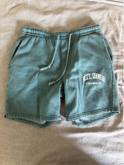 Pacsun Shorts