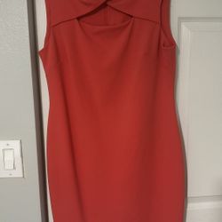 Women’s Coral Size 10 Dress (wore once)