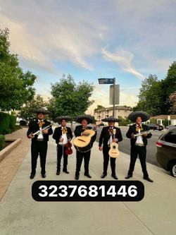 Vihuela violín mariachi