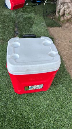 Cooler
