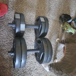 Weights 