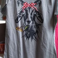 Ladies New T-shirts.  Two Shirts $10 Each Brand New Never Worn Youth Size Large And Extra Large I Need An Adult Size Never Worn Brand New