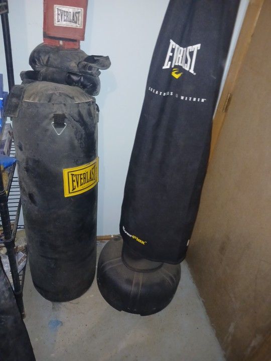 Everlast And Everflex Punching Bags W/ Gloves