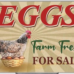 Chicken Eggs For Sale