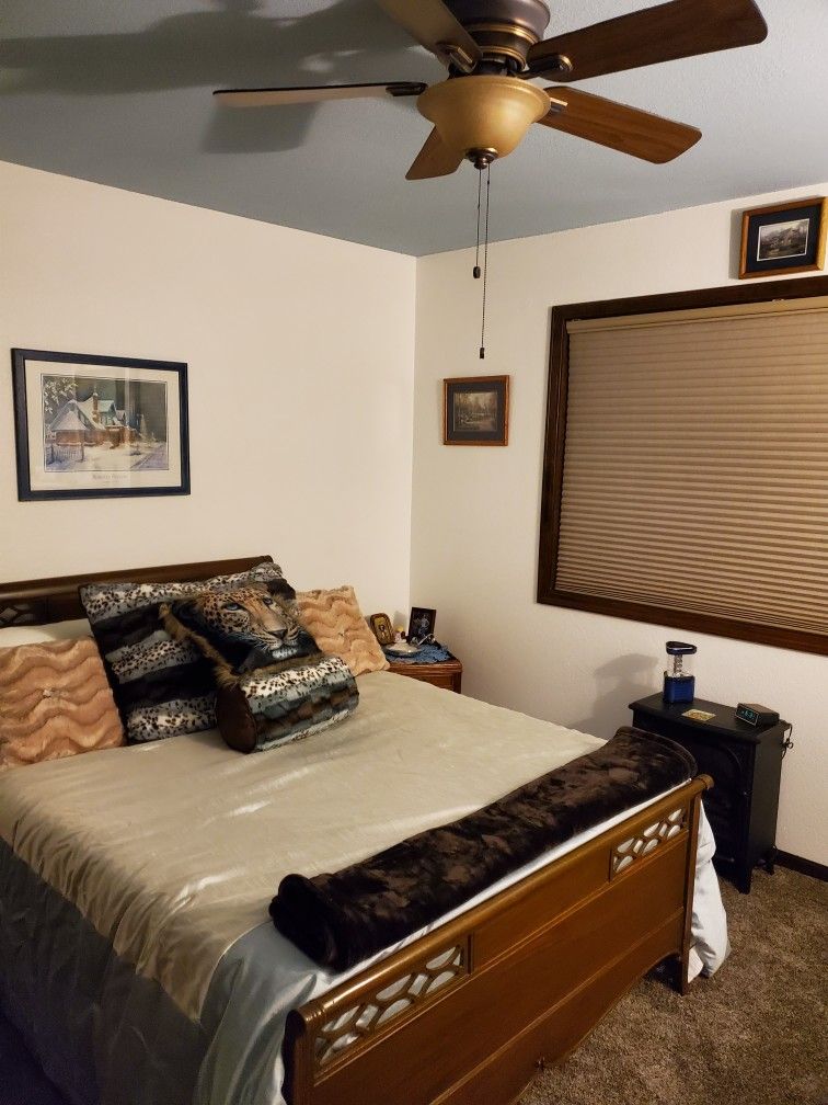 Ceiling Fan with Light