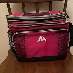 Awesome Cooler Bag!