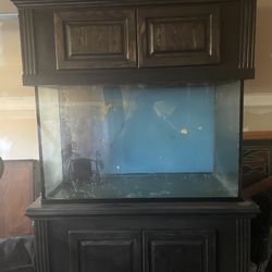 100gallon fish tank