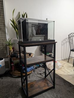 5 Gallon Tank with stand(read description for price)