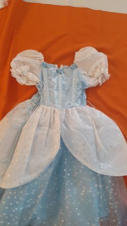 Cinderella Costume