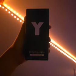 YsL Y 