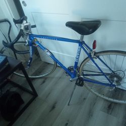 Schwinn Bike
