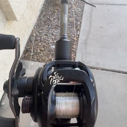 Fishing Rod Fenwick Daiwa