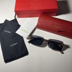 Cartier Wire Frameless Sunglasses