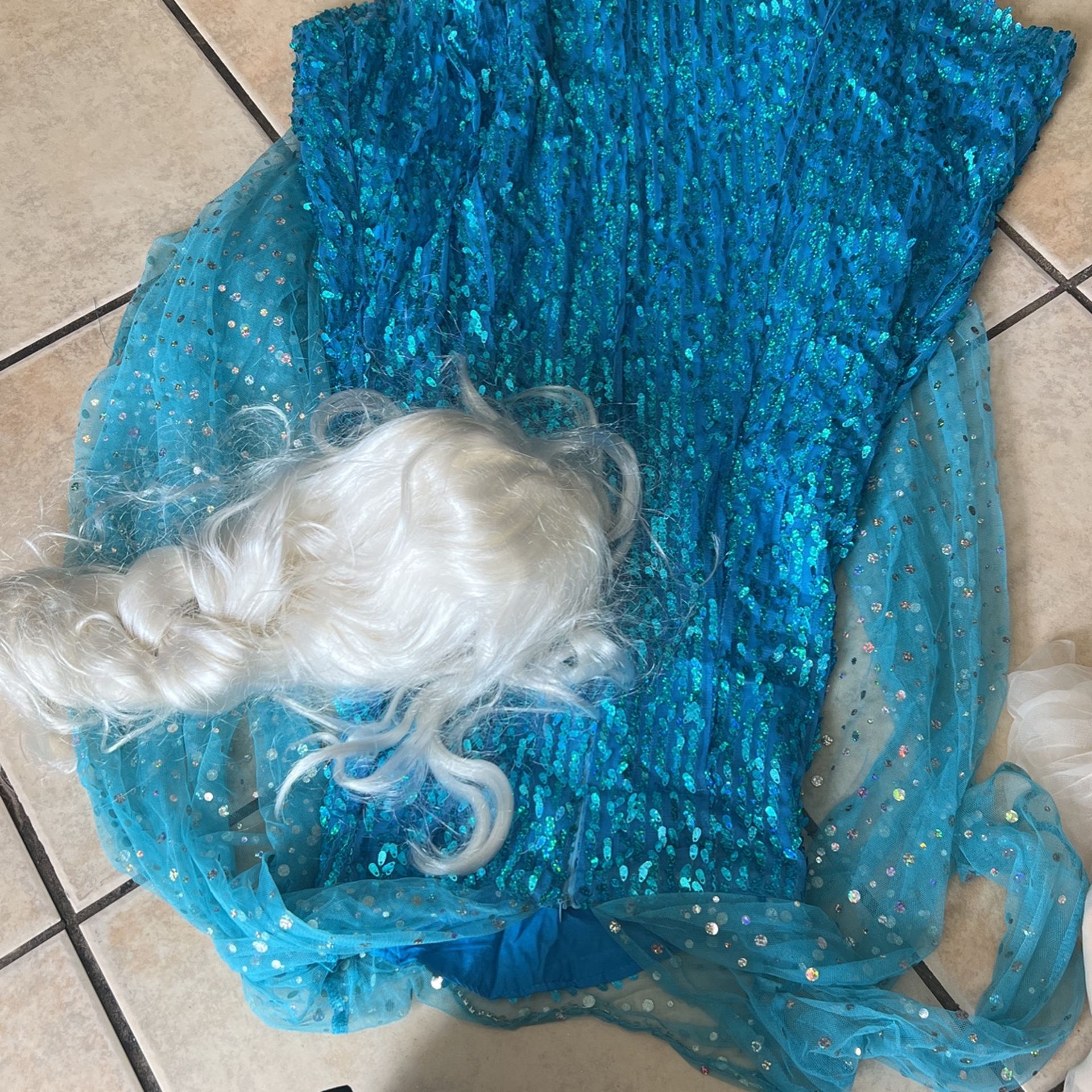 Frozen Elsa costume + wig