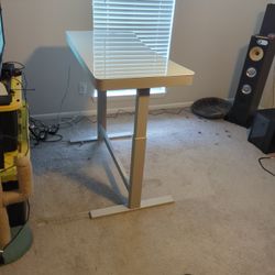 Motorized Stand Up Desk 