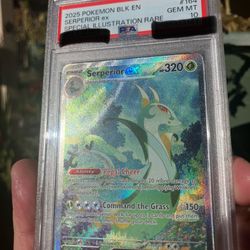 Serperior Ex 164/086 