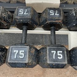 75lb Hex Iron Dumbbell Set Weights 