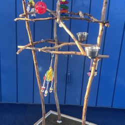 Parrot Perch Tree - Custom Made … An Instant Socializer For Your African Grey / Amazon ! 