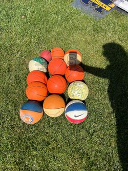 15 Arcadia size basketballs 2 are missing in this picture