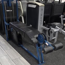 Nautilus Prone Hamstring Curl