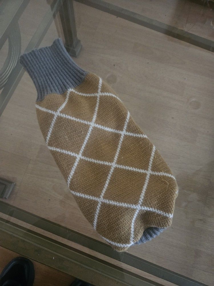 Sweter. For dog