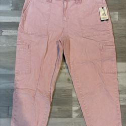 Terra & Sky Utility Pants – Women’s 18W