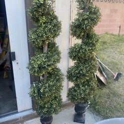 Two Swirl Bushes - Home Decor 