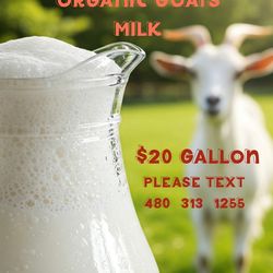 Raw fresh Goat milk
