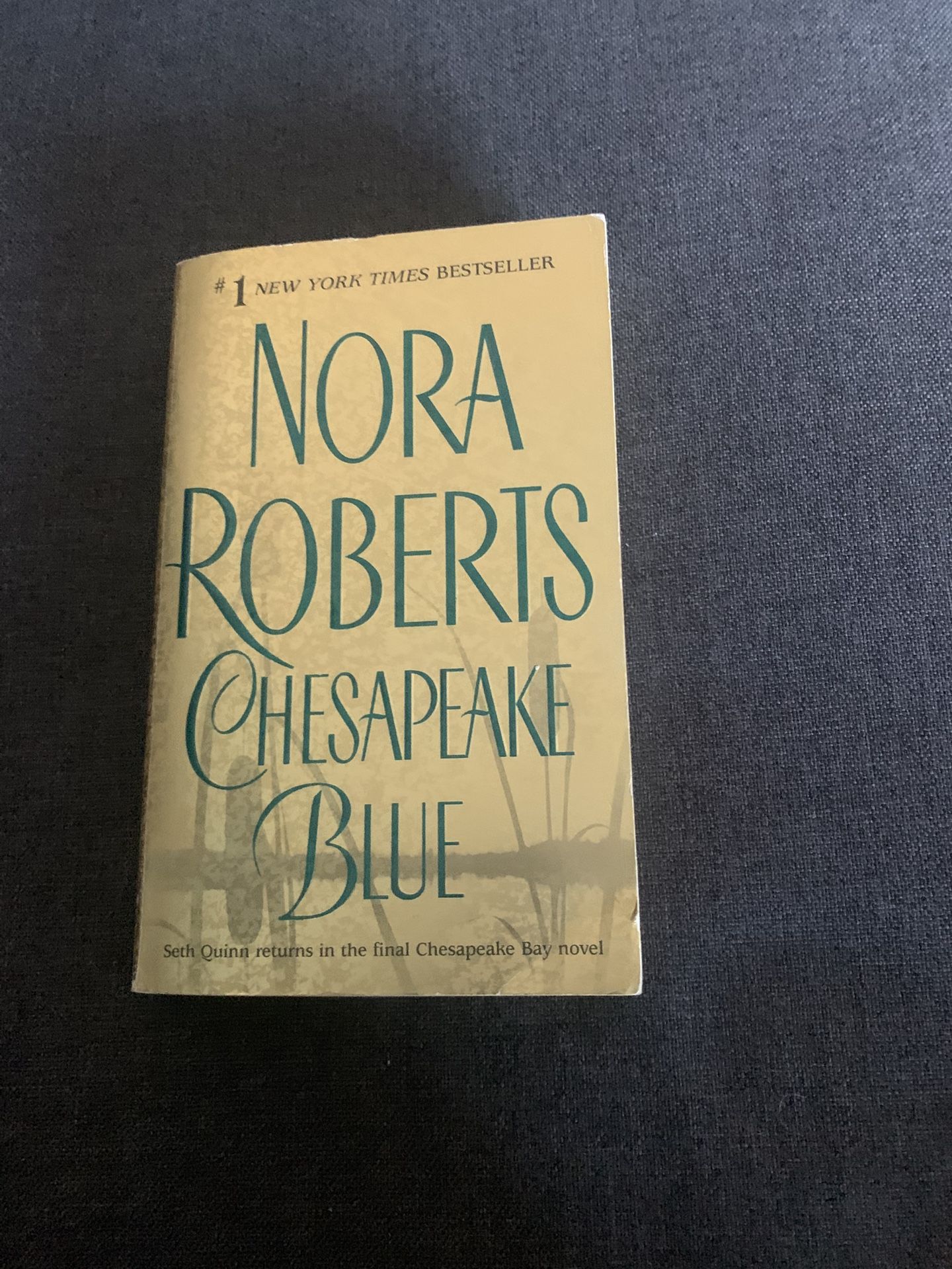 Chesapeake Blue by Nora Roberts #1 New York Times Bestseller