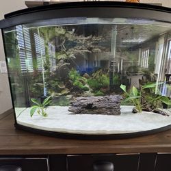 45 Gallon planted Fluval Aquarium 