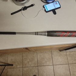 WORTH 3DX 14 SHELL OFFICIAL SOFTBALL BAT 34/28oz.  SLOW POTCH. $25 FIRM PRICE 