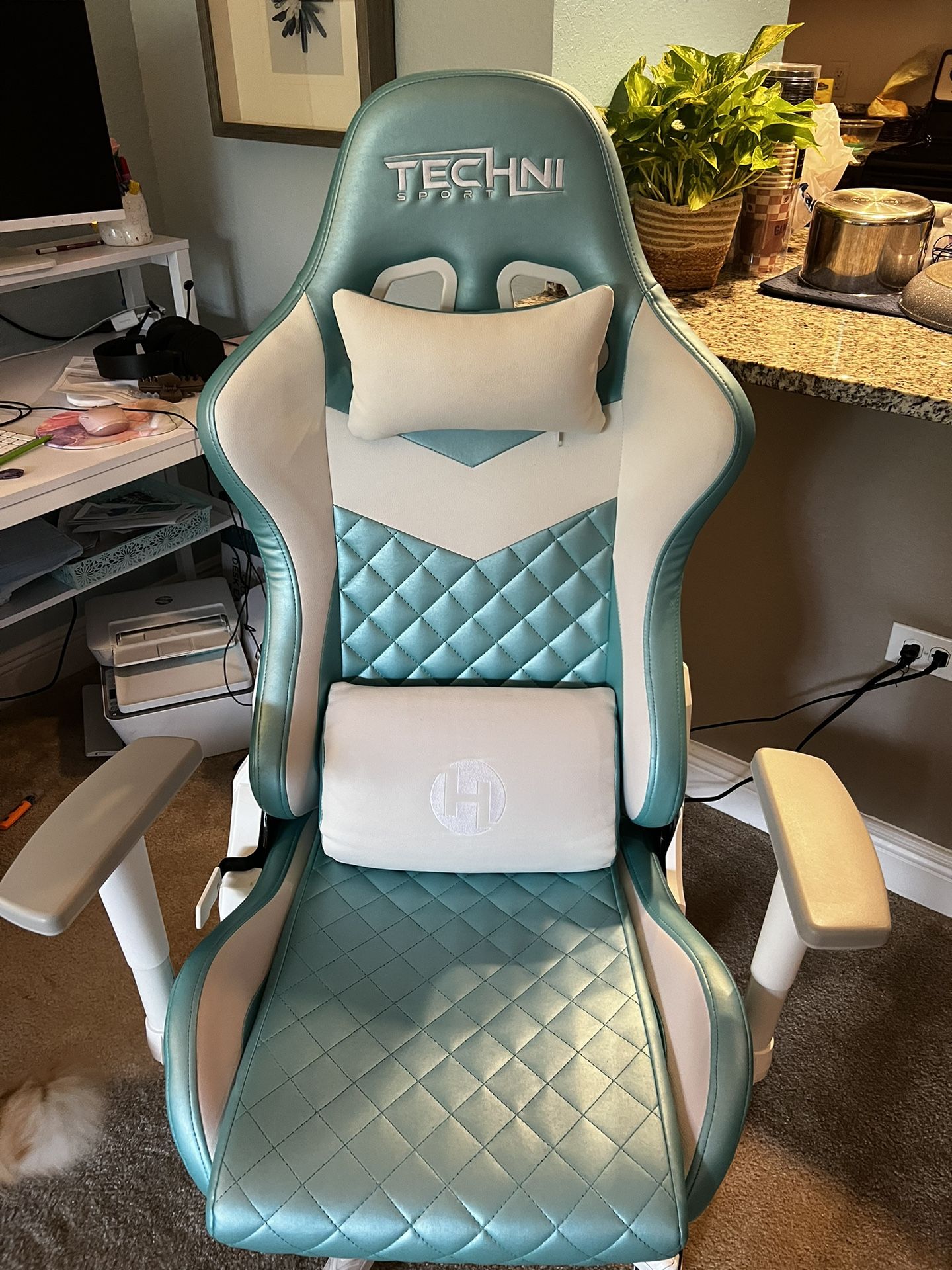 TechniSport TS63 Aqua Luxx Series Ergonomic Gaming Chair