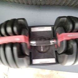Bowflex Adjustable Dumbbells Up To 52.5 Lbs