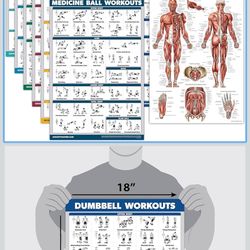 Palace Learning 11 Pack - Exercise Poster Set: Dumbbell, Suspension, Kettlebell, Resistance Bands, Stretching, Bodyweight, Barbell, Yoga, Exercise Bal
