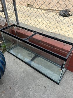 Fish Tank