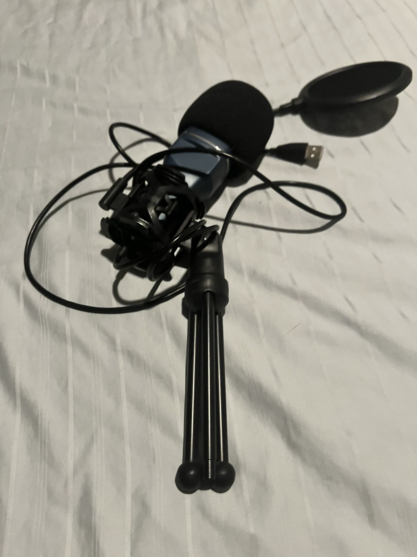 Microphone